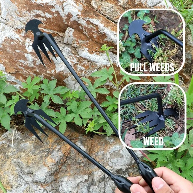 Grass Seed Spreader - Alat Penyiang Rumput Manual 2 in