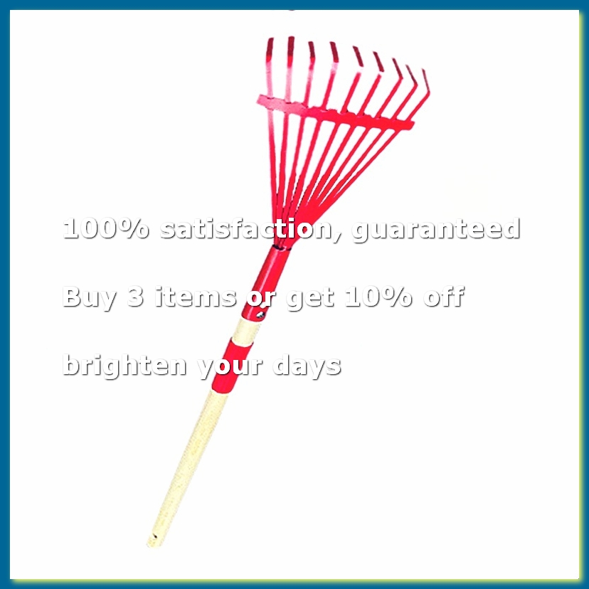 Gardening Tools For 3 Year Old - Garpu Anak dengan Gagang Kayu Keras
