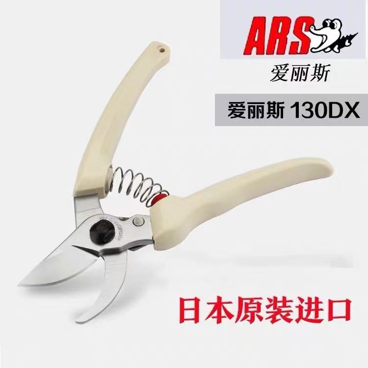 Gardening Tools In Japan - Gunting pangkas, peralatan taman, pemotong pohon