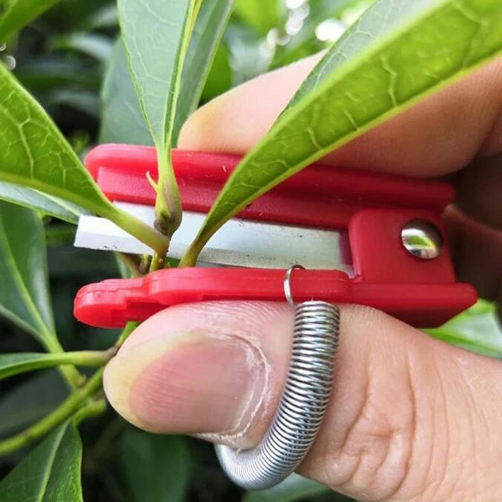 Harvest Knife Garden - Pisau Jempol Multifungsi Alat Pemetik Buah