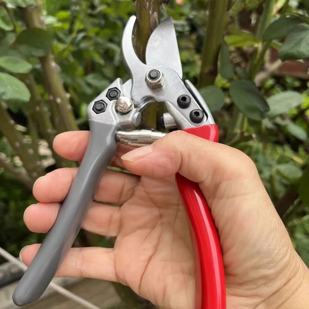 Gardening Tools In Japan - Gunting Pangkas Taman Jepang Vvt New