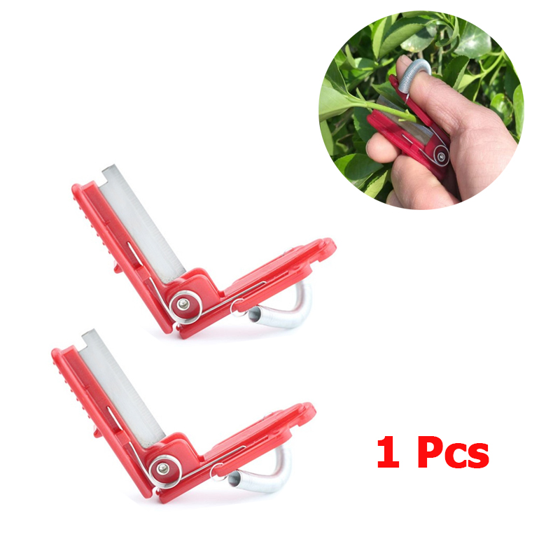 Pemisah Pisau Jempol Sayuran A - Harvest Knife Garden ulasan dan harga