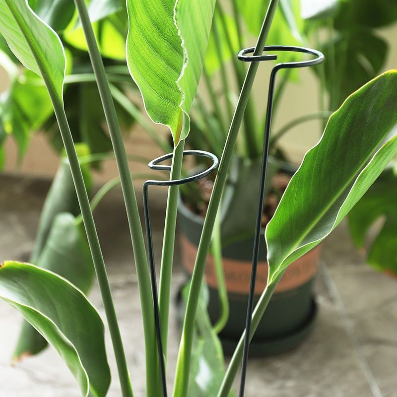 1/10 Buah Cincin Tiang Penyang - Gardening Tools Range ulasan dan harga