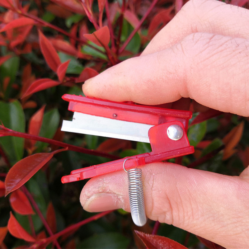 Alat pemisah pisau Thump sayur - Harvest Knife Garden ulasan dan harga