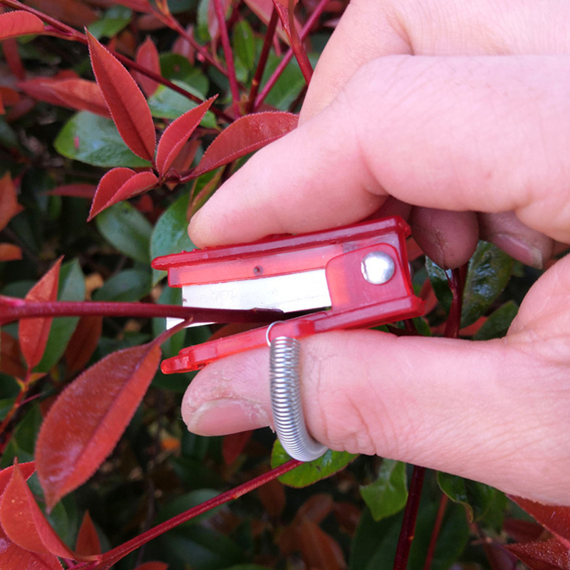 Alat pemisah pisau Thump sayur - Harvest Knife Garden ulasan dan harga