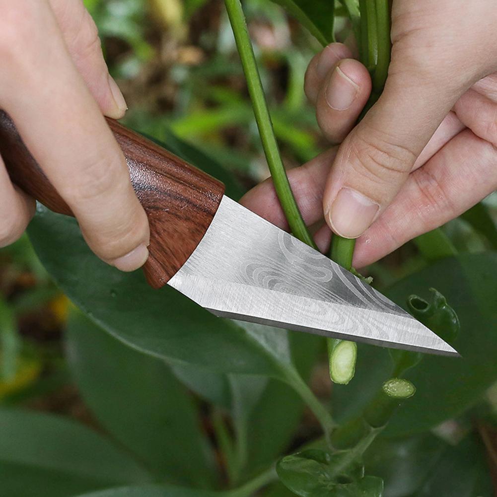 Pisau Cangkok Alat Cangkok Pis - Harvest Knife Garden ulasan dan harga