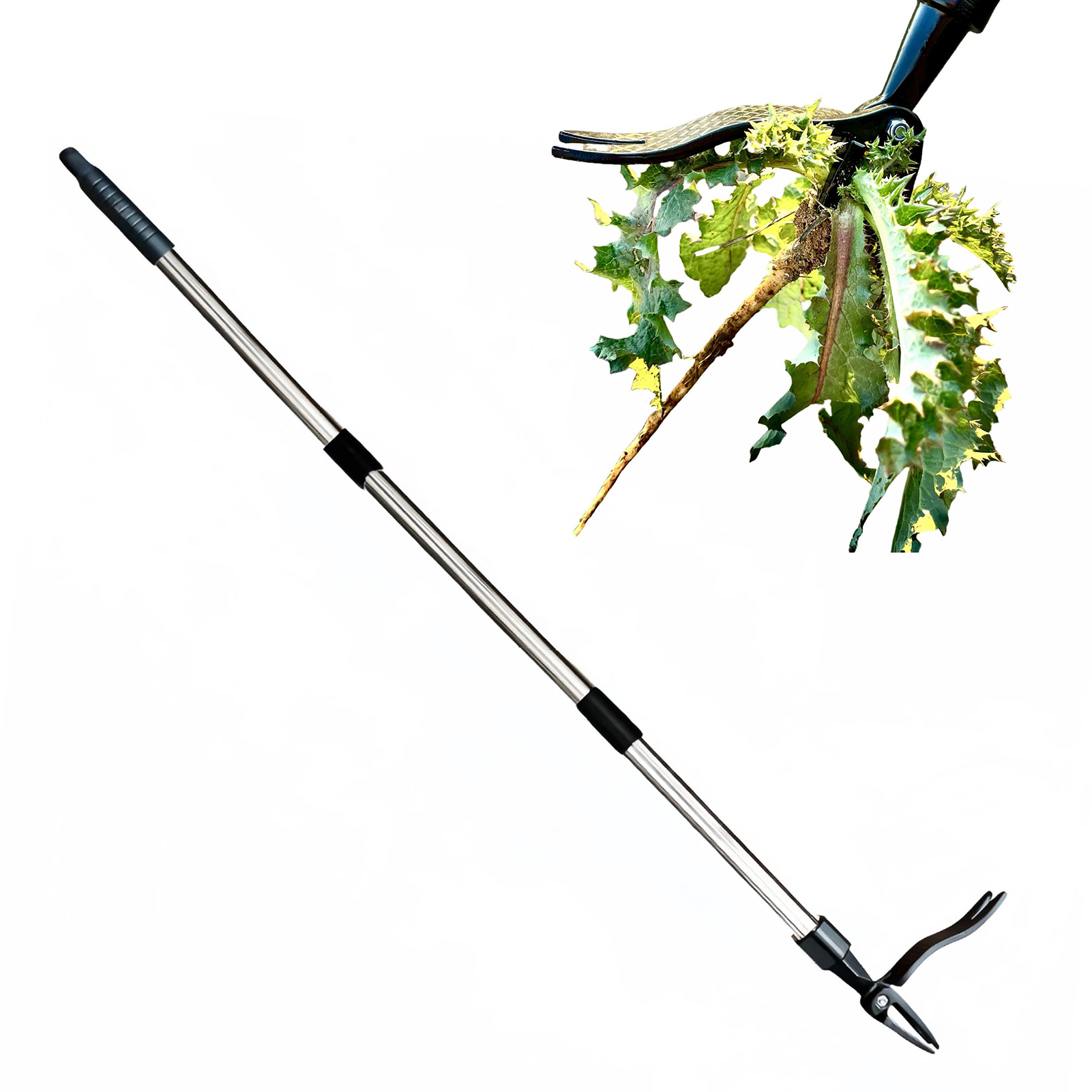4 Cakar Penarik Gulma Berdiri  - Grass Seed Spreader ulasan dan harga