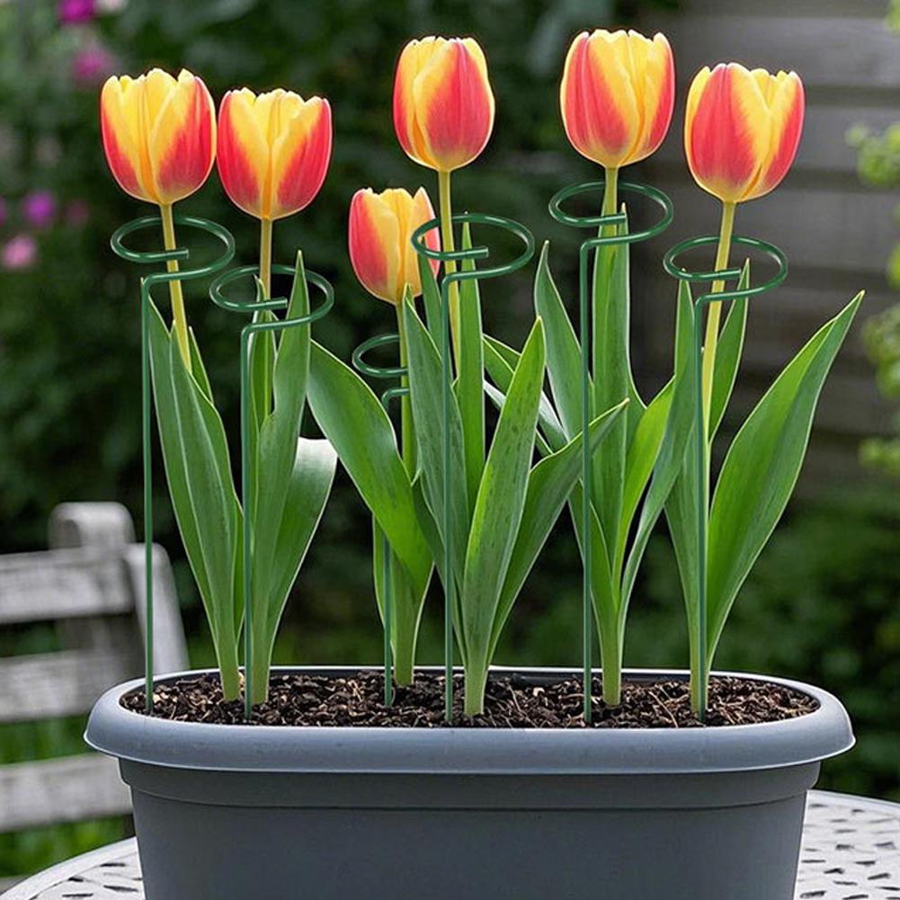 Tongkat Penyangga Tanaman Loga - Gardening Tools Range ulasan dan harga