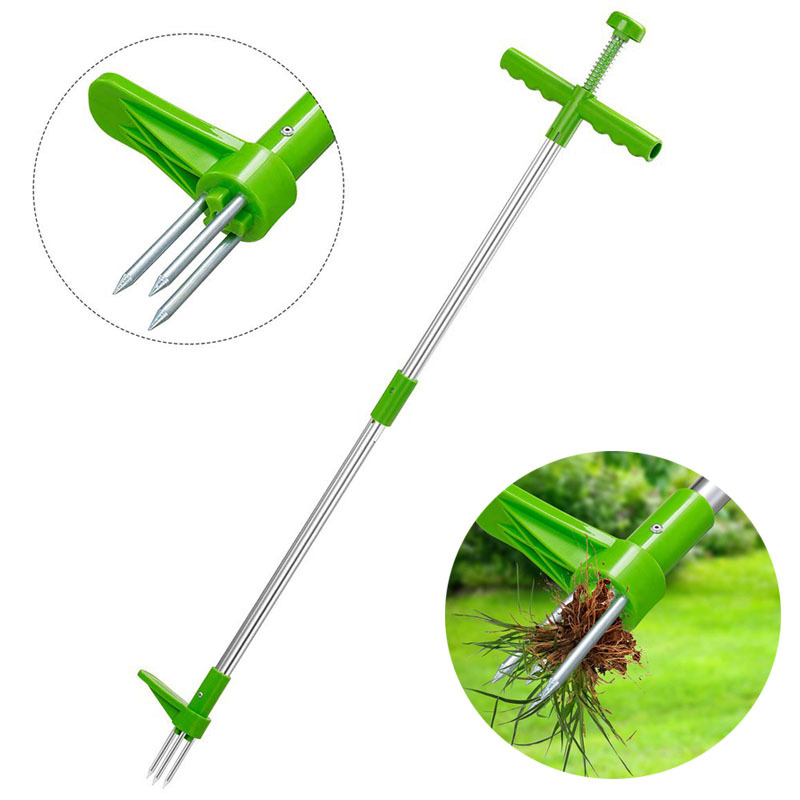 Alat Penarik Akar Rumput Halam - Grass Seed Spreader ulasan dan harga
