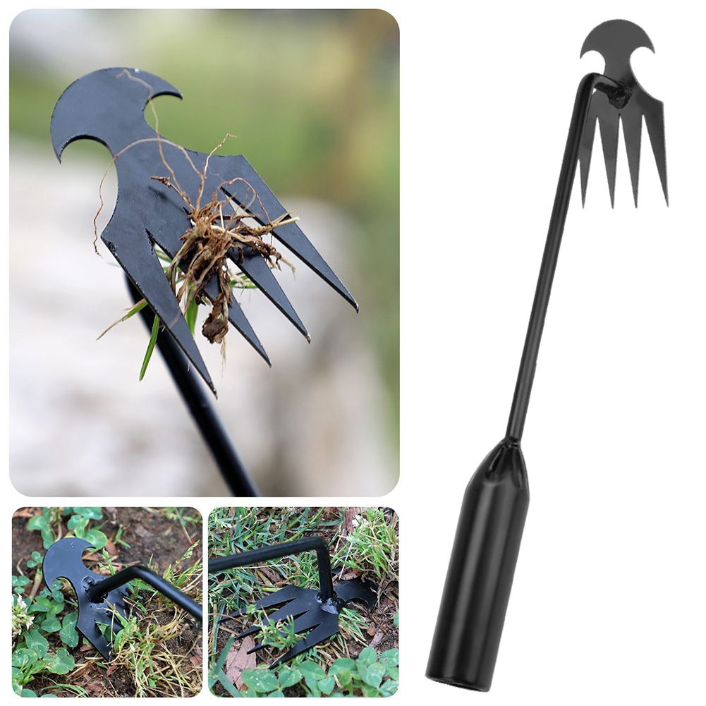 Alat Cangkul Taman 2 In 1 Pena - Grass Seed Spreader ulasan dan harga