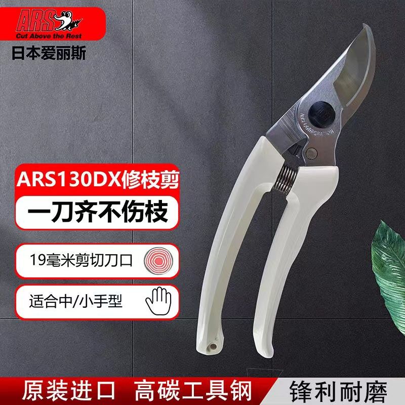 Gunting pangkas, peralatan tam - Gardening Tools In Japan ulasan dan harga