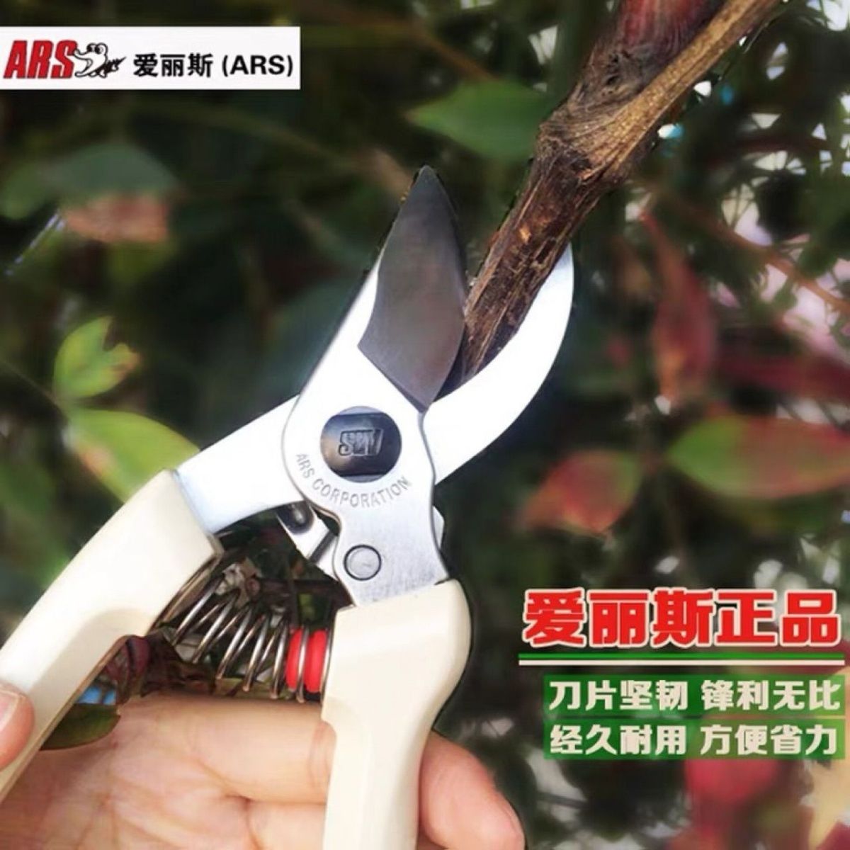 Gunting pangkas, peralatan tam - Gardening Tools In Japan ulasan dan harga