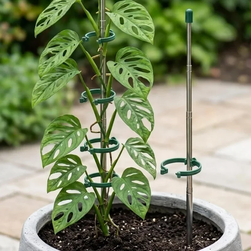 5/1 Buah Cincin Penyangga Tana - Gardening Tools Range ulasan dan harga
