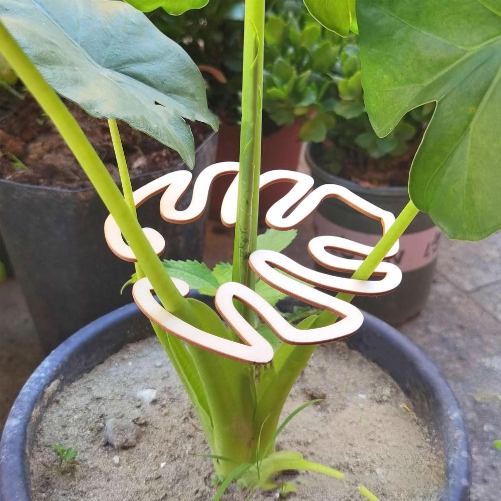 1/2 Buah Penjepit Bambu Cangka - Gardening Tools Wooden ulasan dan harga