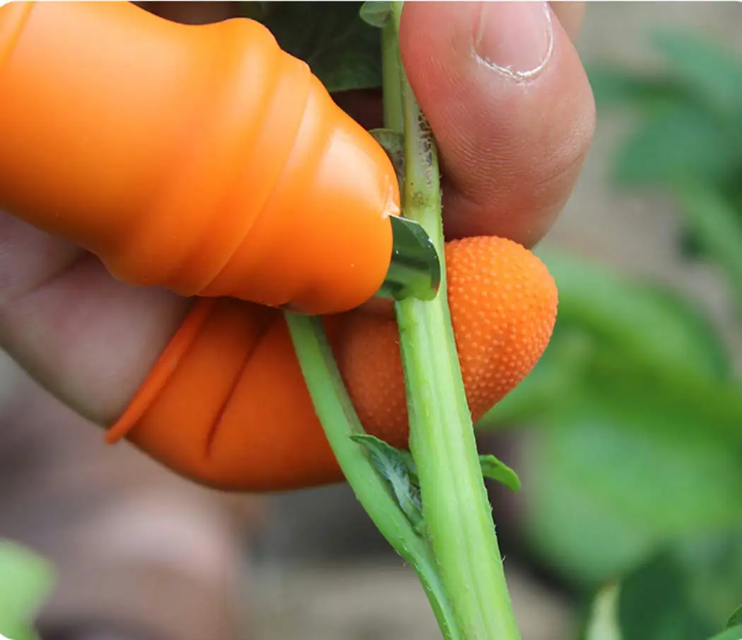 Pelindung Jari Silikon untuk B - Harvest Knife Garden ulasan dan harga