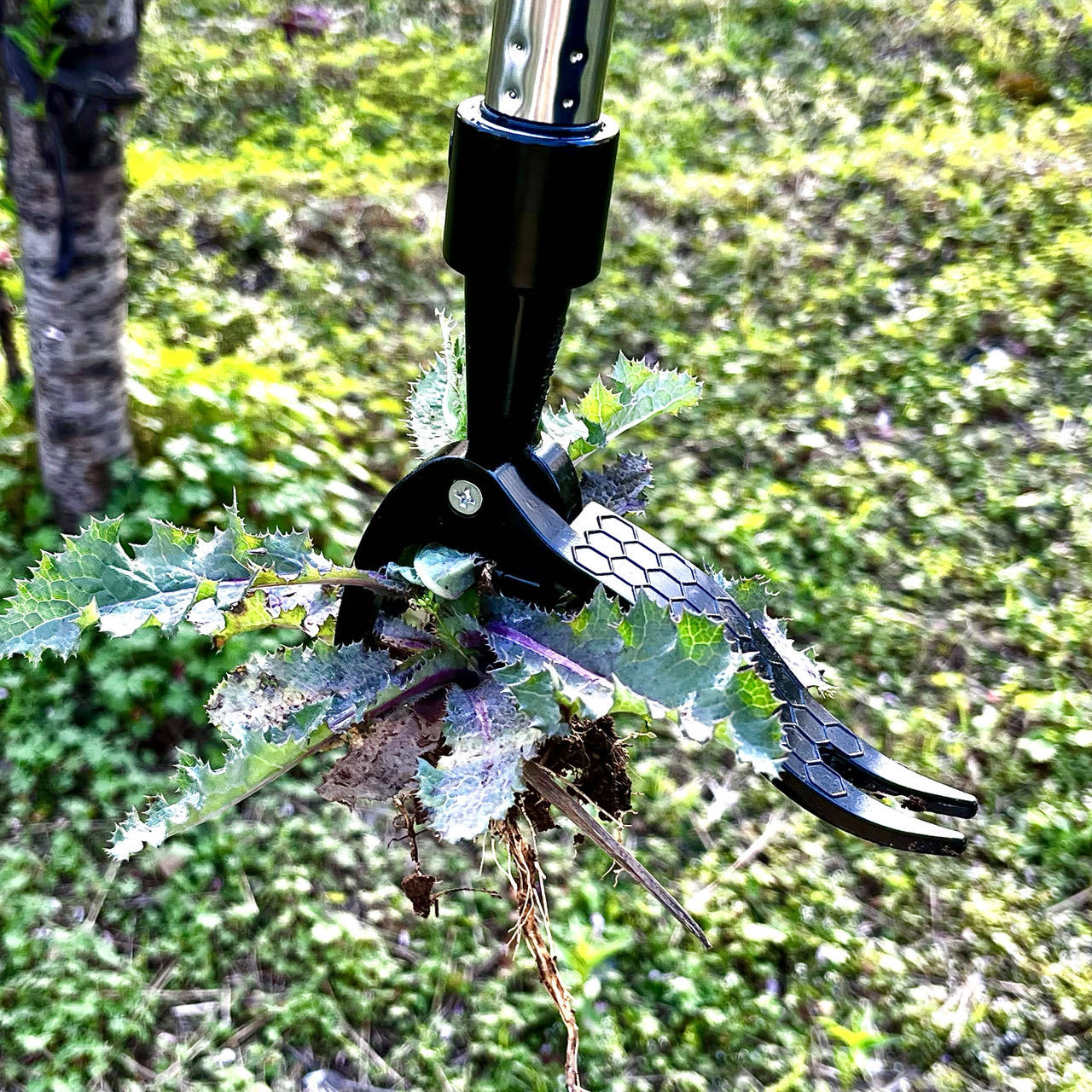 Menghemat Tenaga Kerja Tangan  - Gardening Tools Needed ulasan dan harga