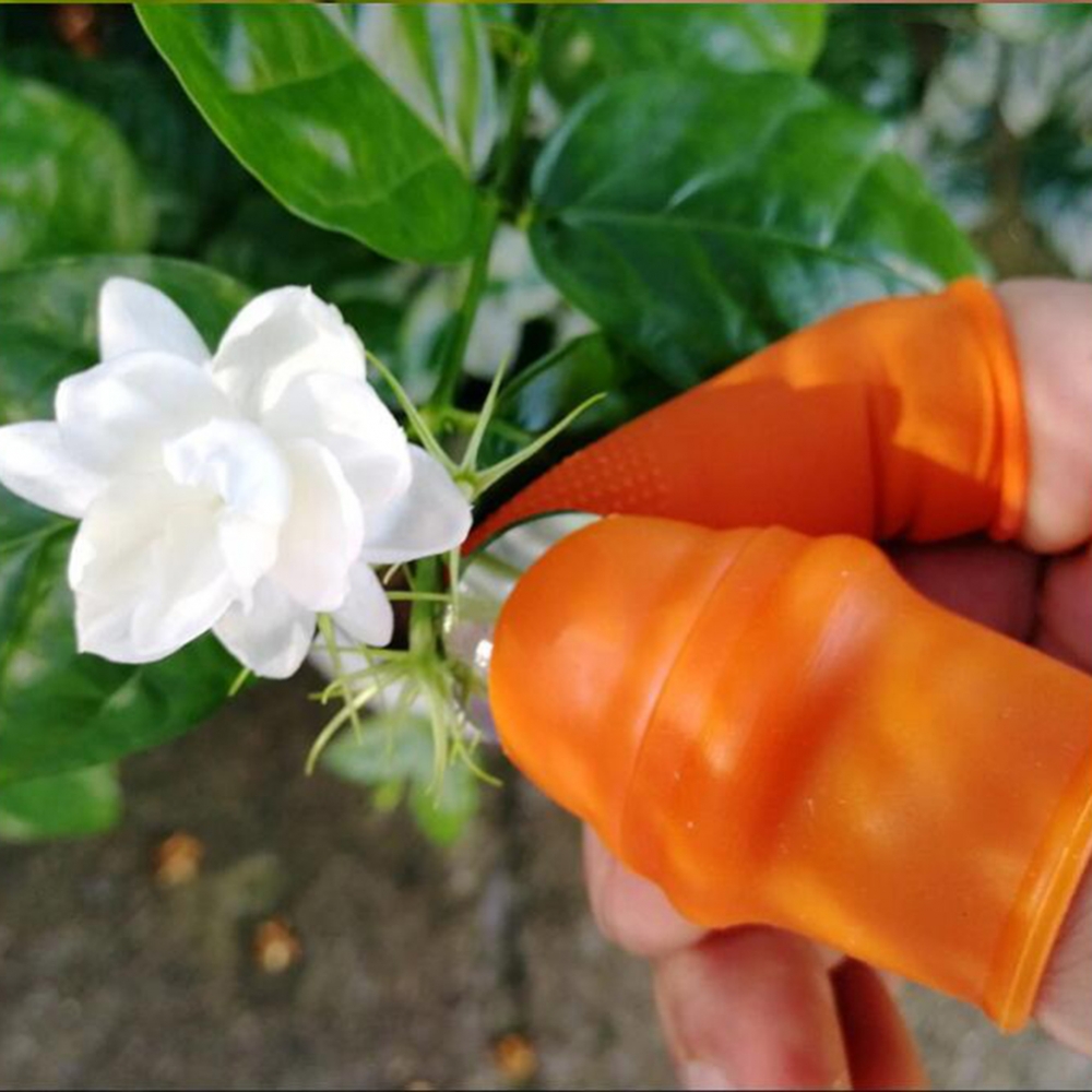 Pisau Jempol Silikon Taman Den - Harvest Knife Garden ulasan dan harga