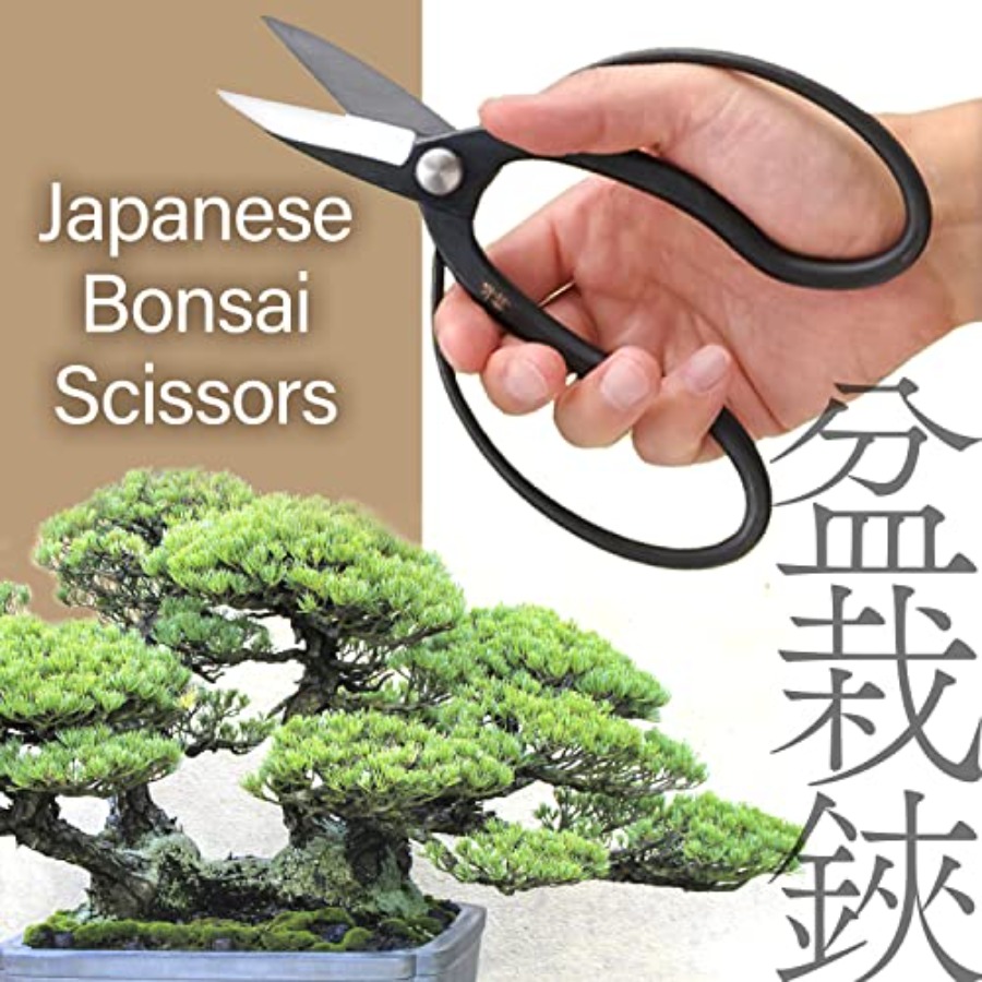 Gunting Bonsai Suiryu Jepang - - Gardening Tools In Japan ulasan dan harga
