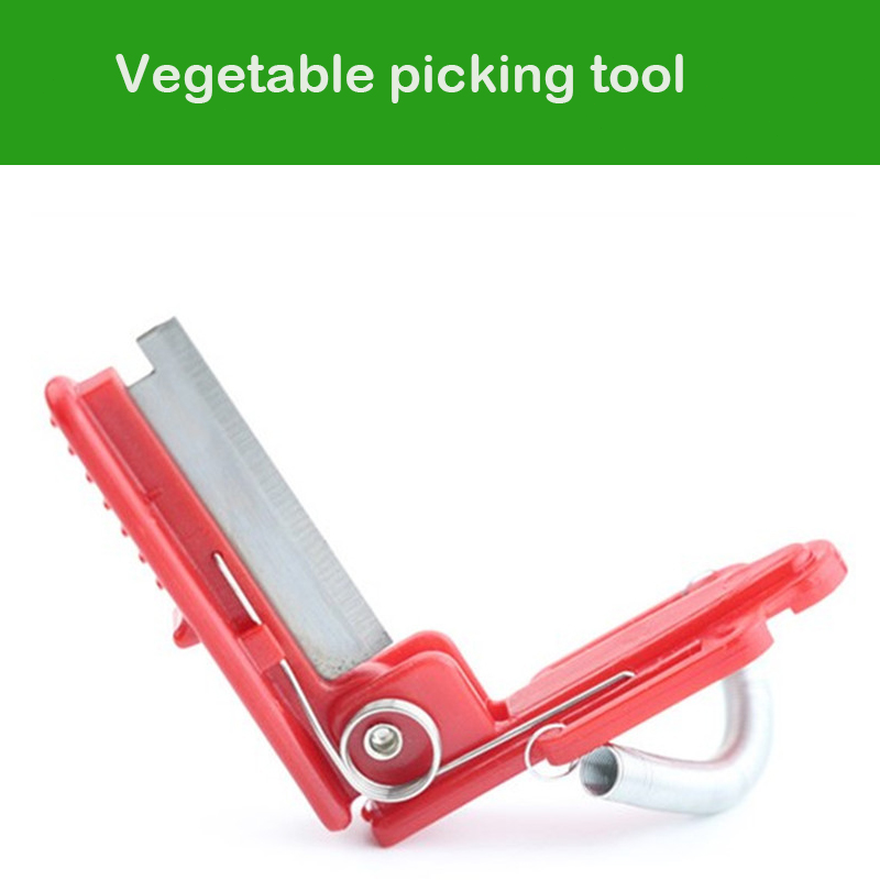 Alat pemetik sayuran pemisah p - Harvest Knife Garden ulasan dan harga