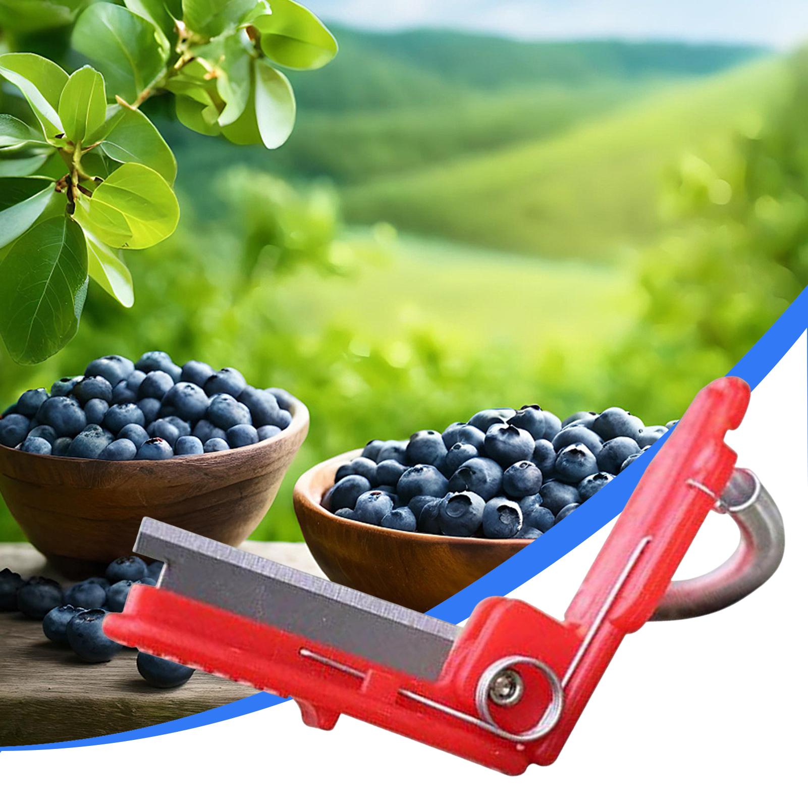 Pisau Jempol Multifungsi Alat  - Harvest Knife Garden ulasan dan harga