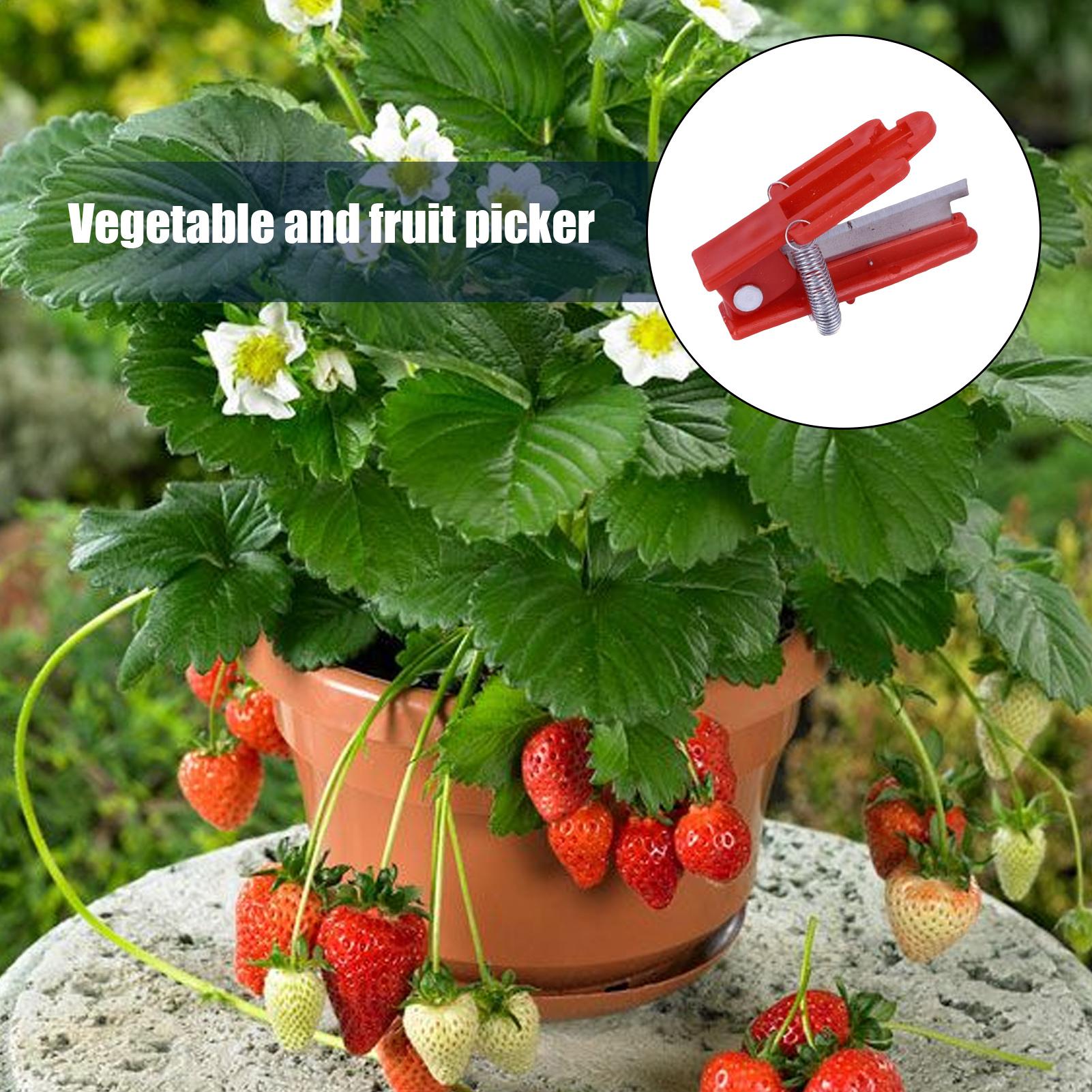 Pisau Jempol Multifungsi Alat  - Harvest Knife Garden ulasan dan harga