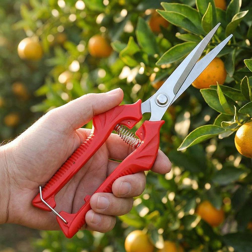 Gunting Pemangkas Dahan Rumput - Harvest Knife Garden ulasan dan harga
