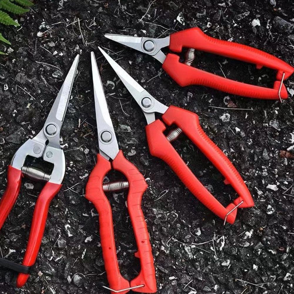Gunting Pemangkas Dahan Rumput - Harvest Knife Garden ulasan dan harga