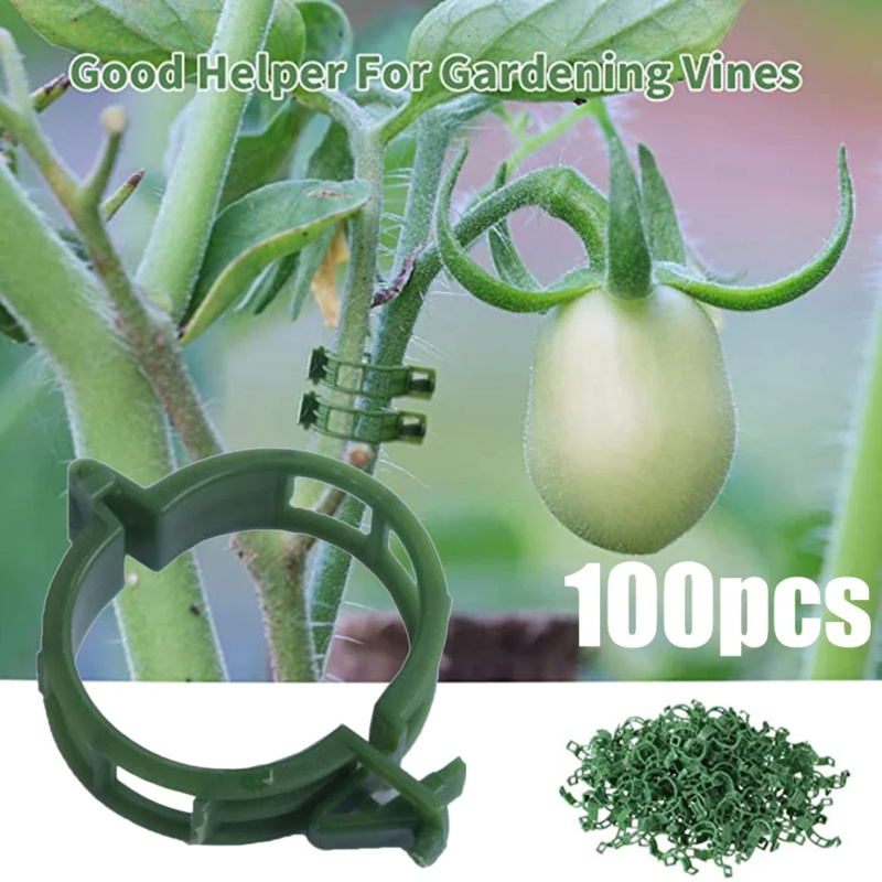 100 buah/klip penopang tanaman - Gardening Tools Range ulasan dan harga