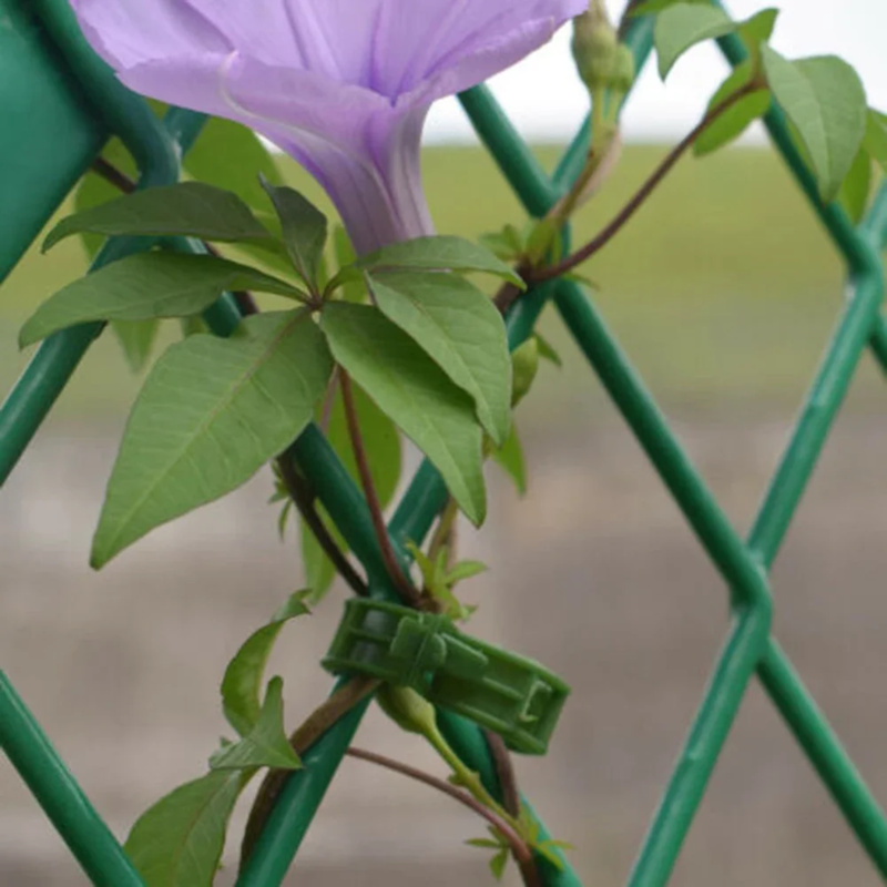 100 buah/klip penopang tanaman - Gardening Tools Range ulasan dan harga
