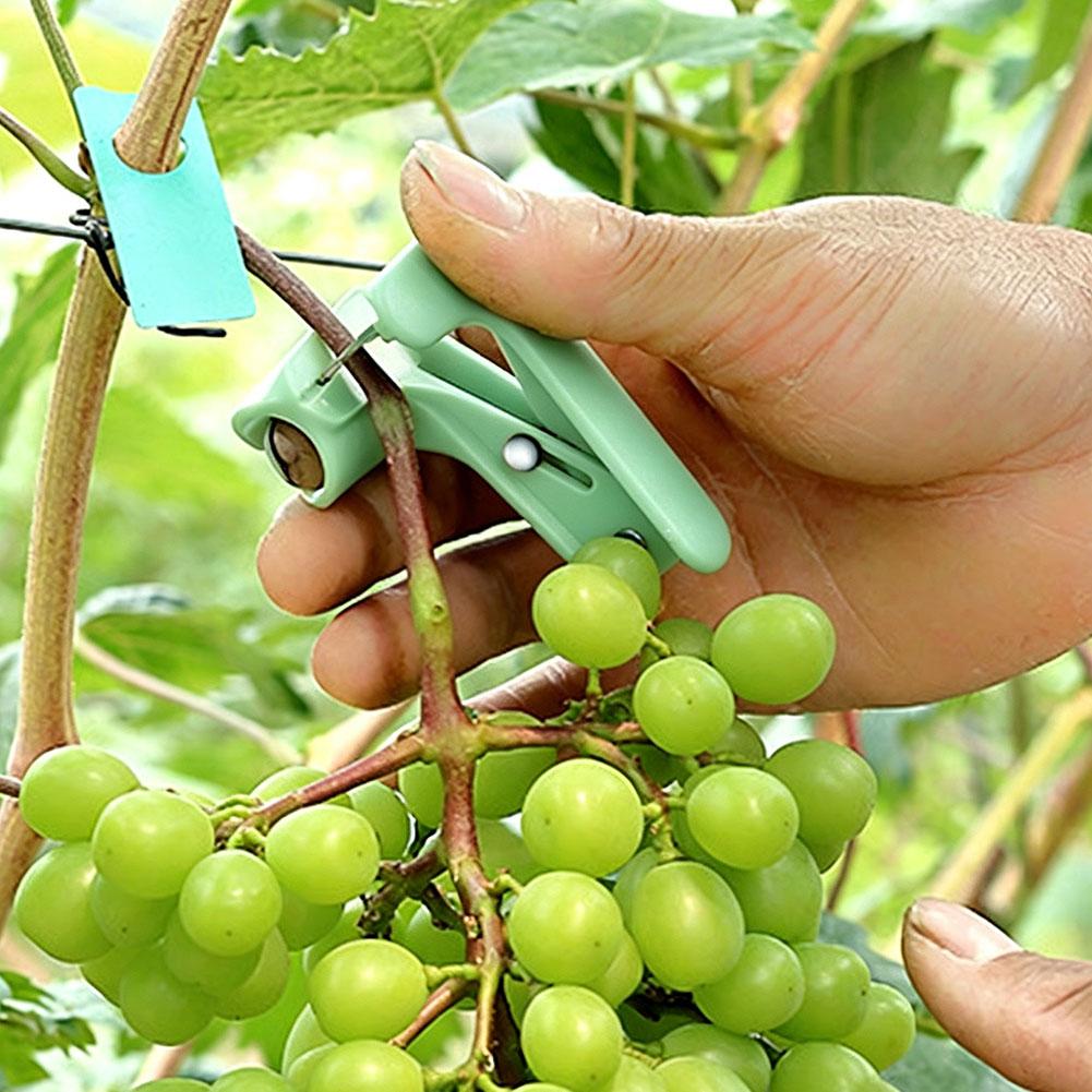 Pisau Jempol Multifungsi, Pemo - Harvest Knife Garden ulasan dan harga