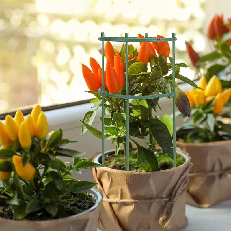 Penyangga Tanaman Plastik Tian - Gardening Tools Range ulasan dan harga