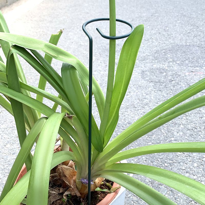 1-10 Buah Tempat Semak Tanaman - Gardening Tools Range ulasan dan harga