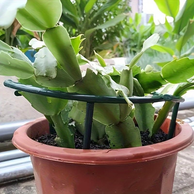 30-1 Buah Penyangga Tanaman Pl - Gardening Tools Range ulasan dan harga
