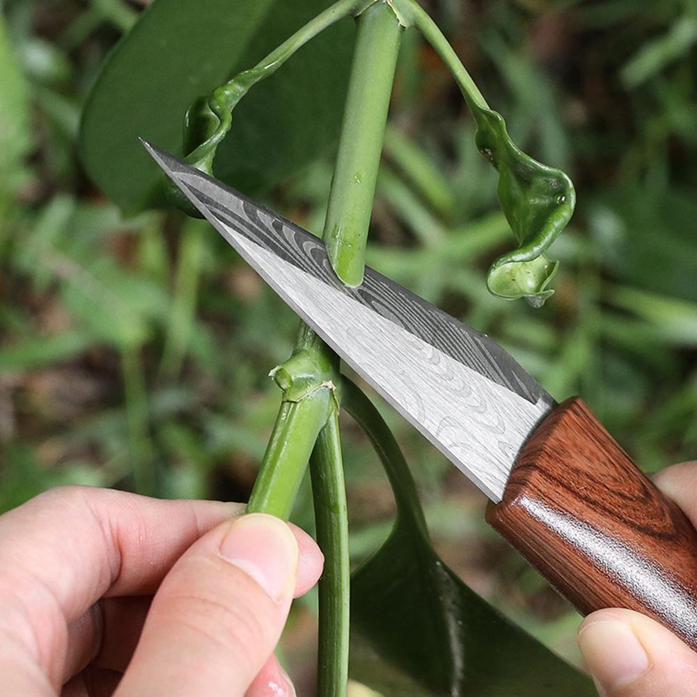 Pisau Cangkok Tajam dengan Gag - Harvest Knife Garden ulasan dan harga