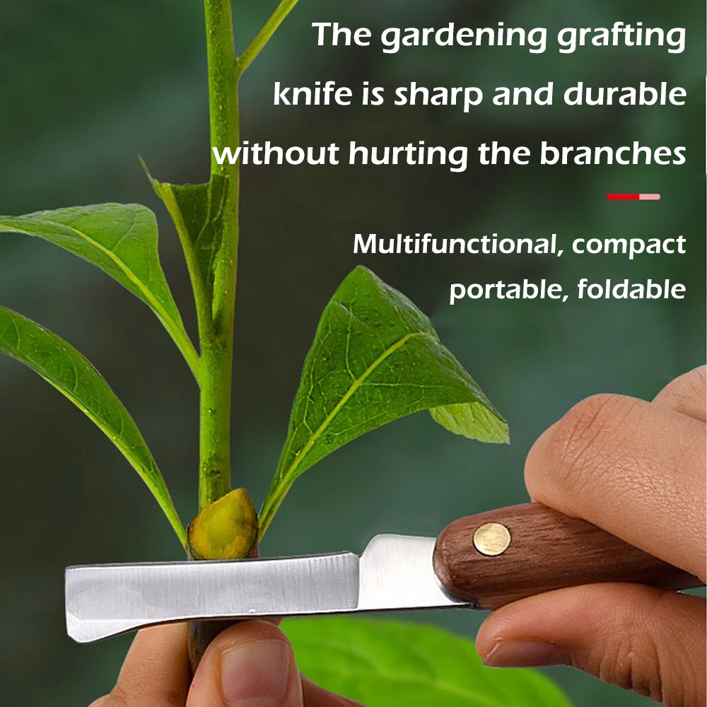 Alat okulasi pisau pangkas lip - Harvest Knife Garden ulasan dan harga