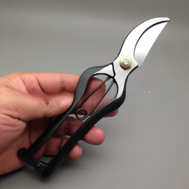 Gunting cabang 200MM, diimpor  - Gardening Tools In Japan ulasan dan harga