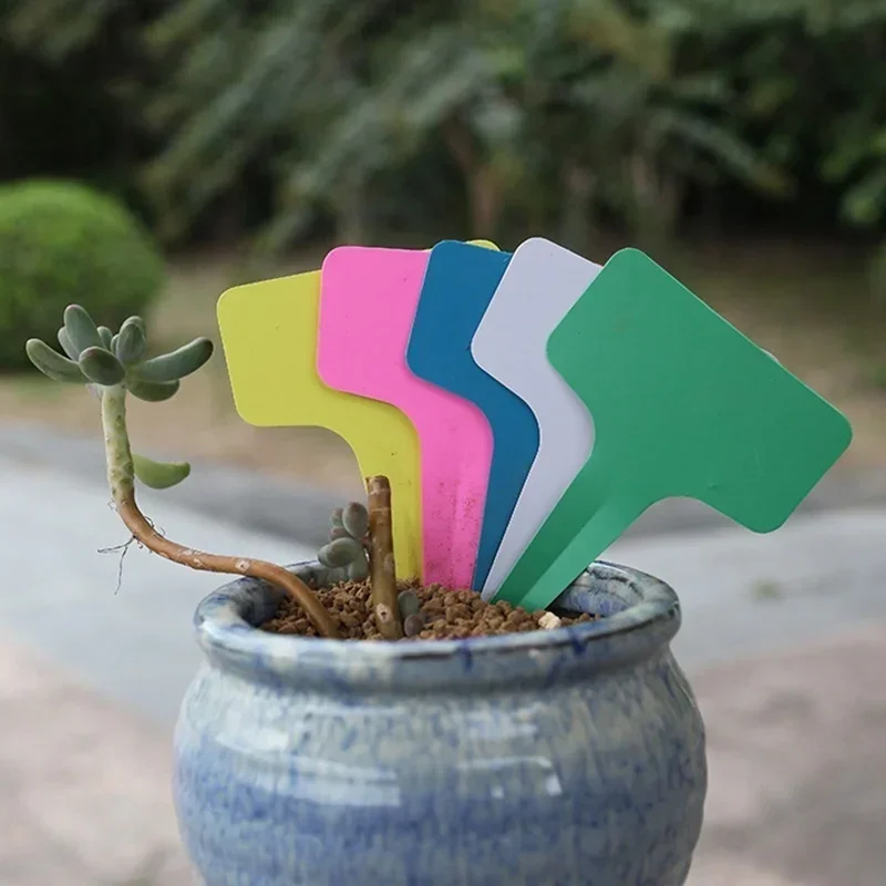 20 Buah Label Nama Tanaman Pla - Gardening Tools Names ulasan dan harga