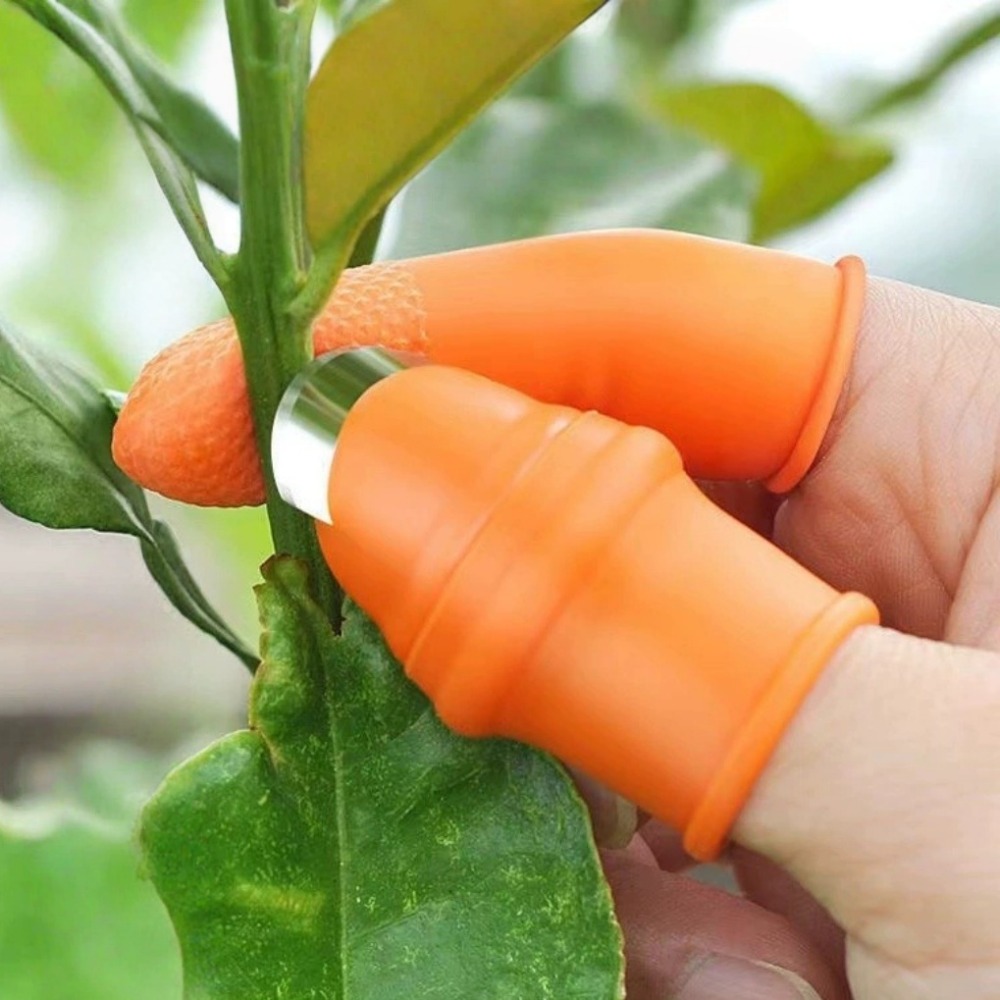 Pisau Jempol Stainless Steel u - Harvest Knife Garden ulasan dan harga
